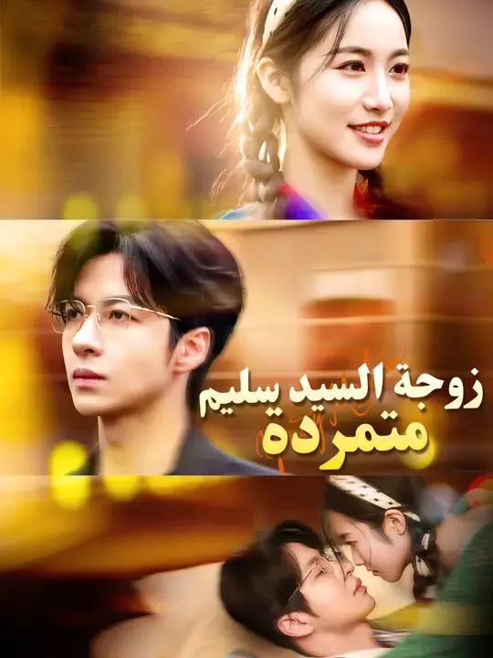 ملصق مسلسل زوجة السيد سليم متمردة من الصين