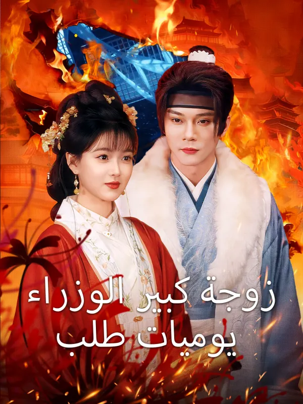 ملصق مسلسل يوميات طلب زوجة كبير الوزراء من الصين