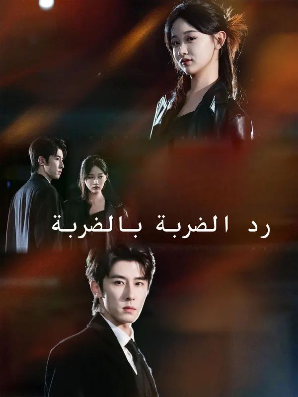 ملصق مسلسل رد الضربة بالضربة من الصين