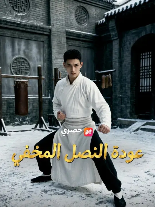 ملصق مسلسل عودة النصل المخفي من الصين