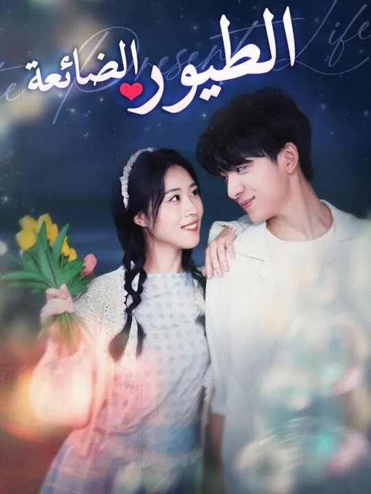 ملصق مسلسل الطيور الضائعة من الصين