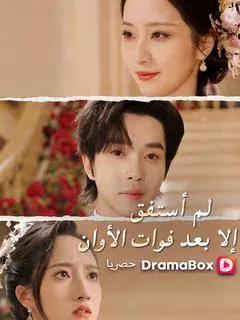 ملصق مسلسل لم أستفق إلا بعد فوات الأوان من الصين