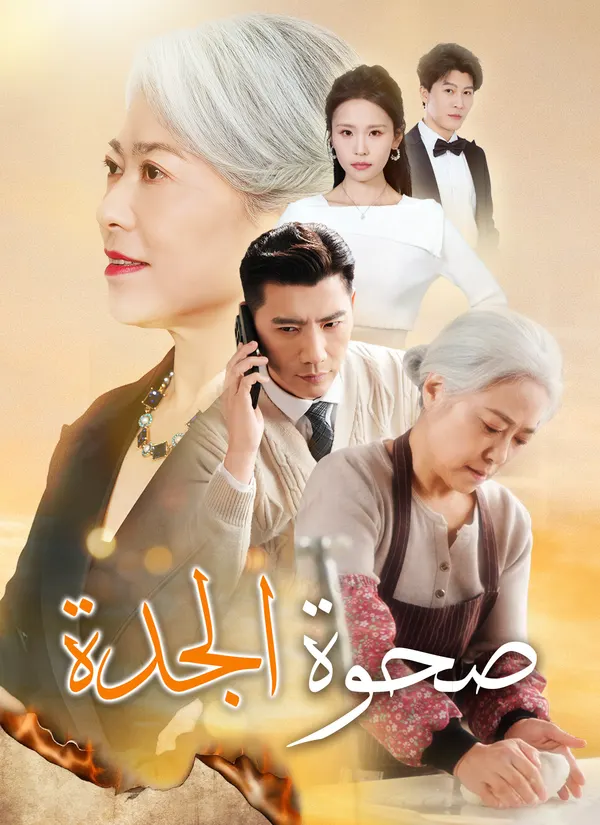 ملصق مسلسل صحوة الجدة من الصين